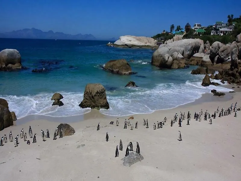 702 Canal Quays Cape Town 0*,  South Africa