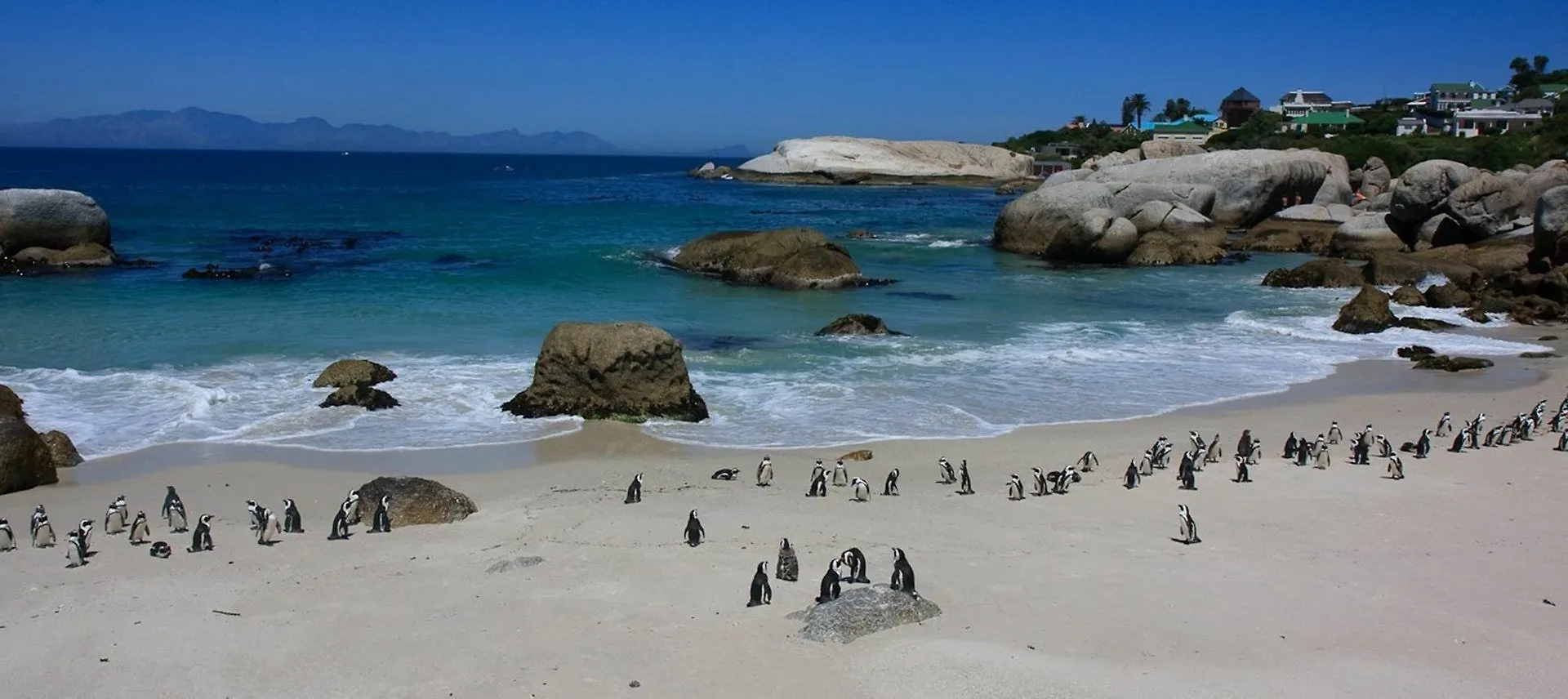 Apartment 702 Canal Quays Cape Town